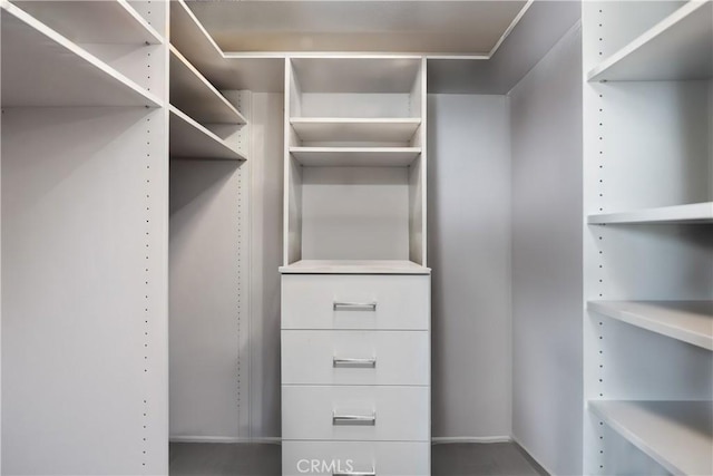 view of walk in closet