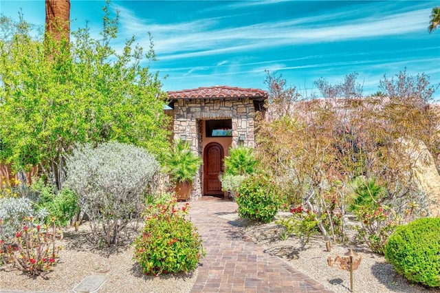 entrance to property featuring stone siding and a tiled roof