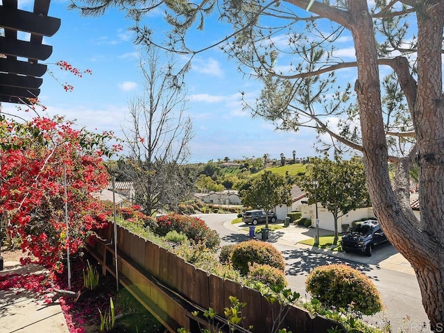 1714 Woodlark Ln, Fallbrook, CA 92028 - view of yard