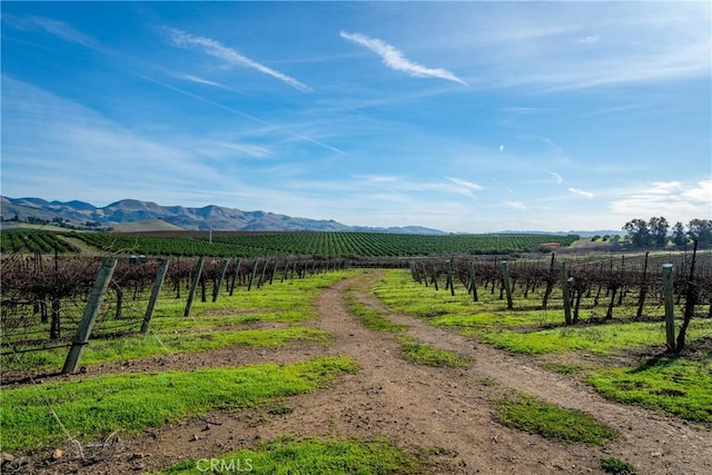 4910 Edna Rd, San Luis Obispo, CA 93401 - photo 23