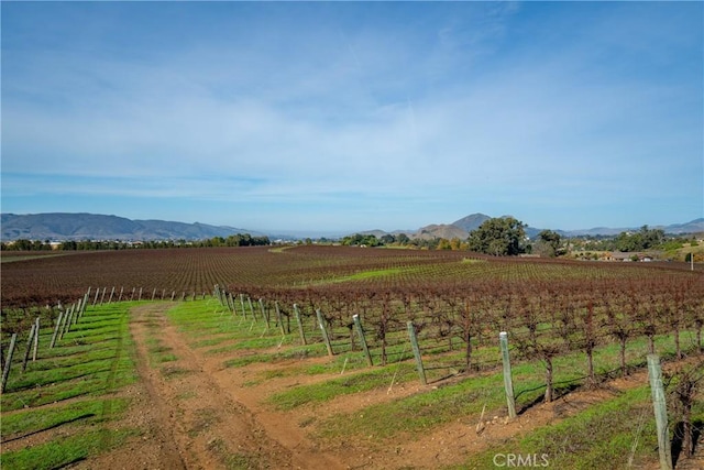 4910 Edna Rd, San Luis Obispo, CA 93401 - photo 1