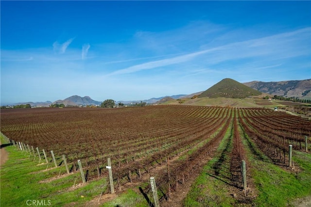 4910 Edna Rd, San Luis Obispo, CA 93401 - photo 13