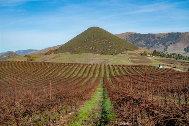 4910 Edna Rd, San Luis Obispo, CA 93401 - photo 2