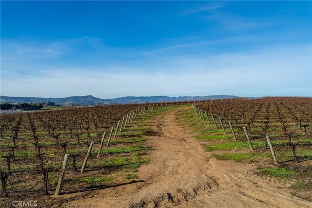 4910 Edna Rd, San Luis Obispo, CA 93401 - photo 18