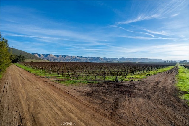 4910 Edna Rd, San Luis Obispo, CA 93401 - photo 11