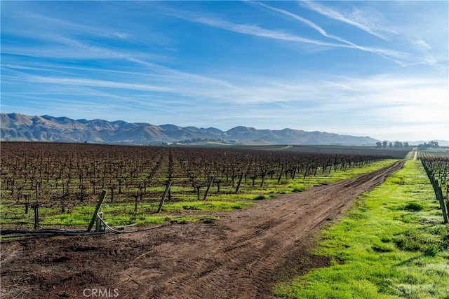 4910 Edna Rd, San Luis Obispo, CA 93401 - photo 9