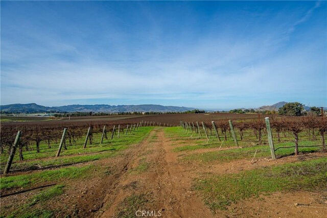 4910 Edna Rd, San Luis Obispo, CA 93401 - photo 20