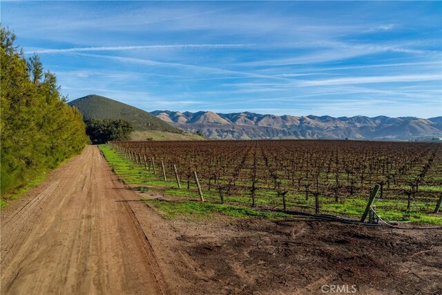 4910 Edna Rd, San Luis Obispo, CA 93401 - photo 10