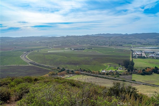 4910 Edna Rd, San Luis Obispo, CA 93401 - photo 28
