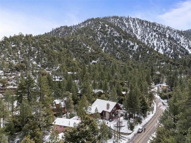 1420 Woodland, Pine Mountain Club, CA 93222 - photo 36