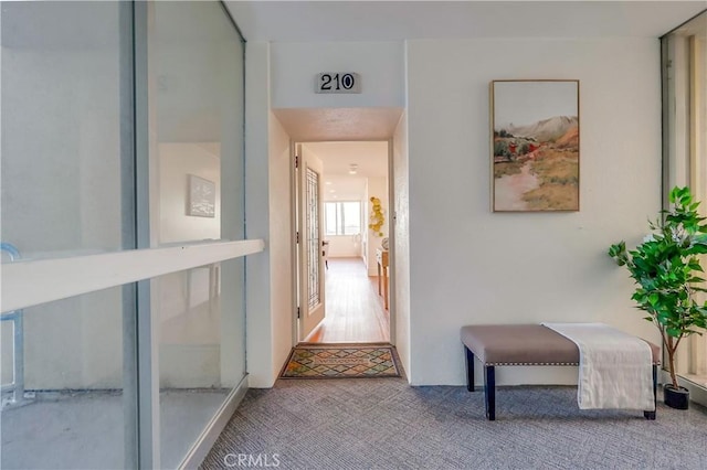 2999 E Ocean Blvd Unit 210, Long Beach, CA 90803 - corridor with carpet floors