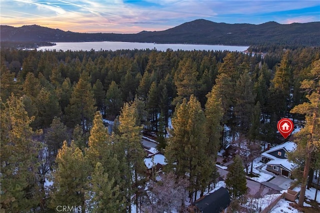 41496 Comstock Ln, Big Bear Lake, CA 92315 - photo 11