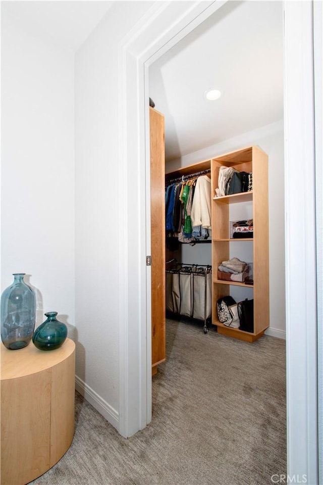 walk in closet featuring carpet floors