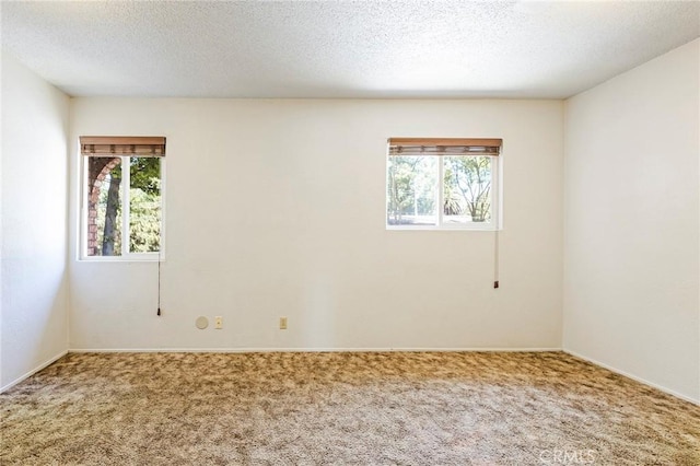 carpeted empty room with a healthy amount of sunlight and a textured ceiling