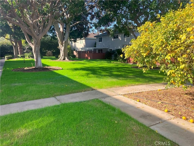 view of yard