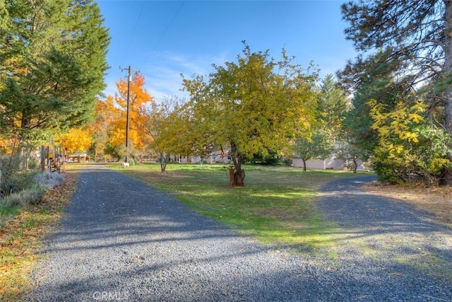 13730 Nimshew Rd, Magalia, CA 95954 - view of road