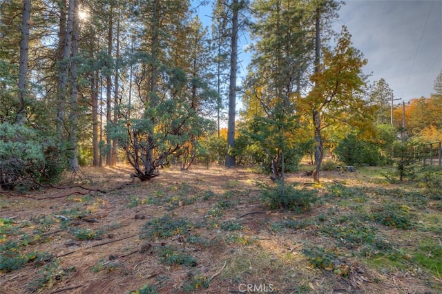 13730 Nimshew Rd, Magalia, CA 95954 - view of local wilderness