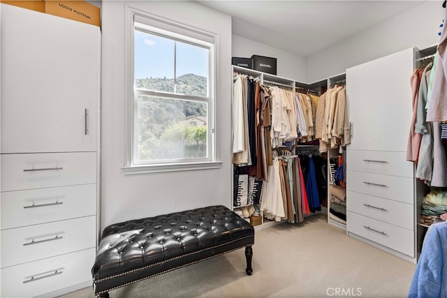 3905 Elderberry Cir, Corona, CA 92882 - walk in closet with light colored carpet