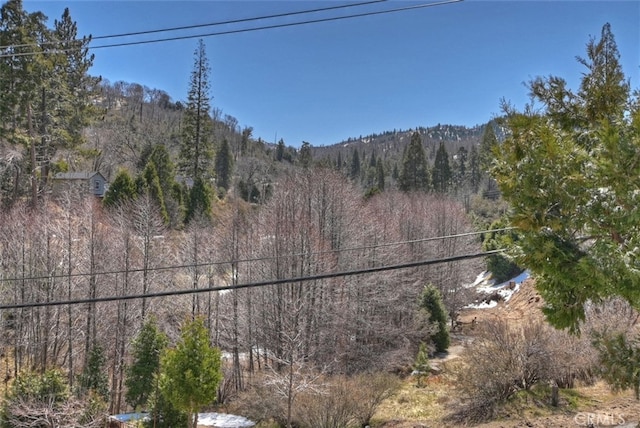 29632 Hook Creek Rd, Cedar Glen, CA 92321 - mountain view featuring a forest