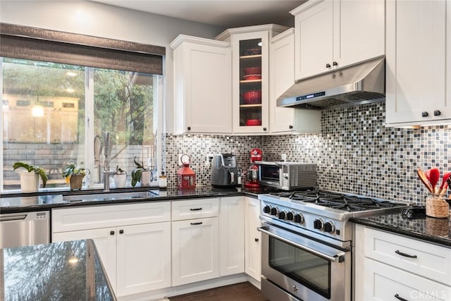 2845 Keystone Cir, Corona, CA 92882 - kitchen with appliances with stainless steel finishes, under cabinet range hood, a sink, and white cabinetry