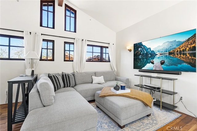 living room featuring high vaulted ceiling and wood finished floors