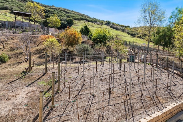 exterior space featuring a mountain view and a rural view