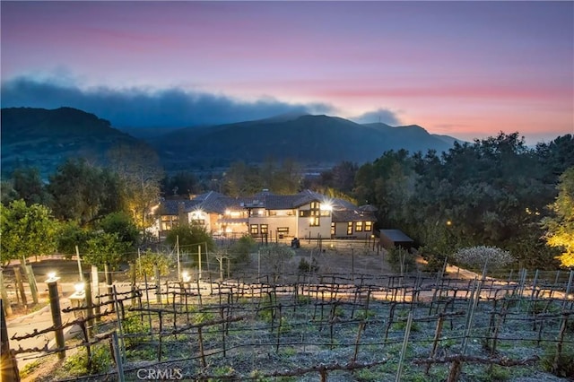 mountain view