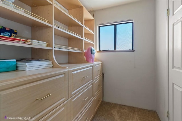6351 Deacon Ave, Bakersfield, CA 93307 - walk in closet featuring carpet