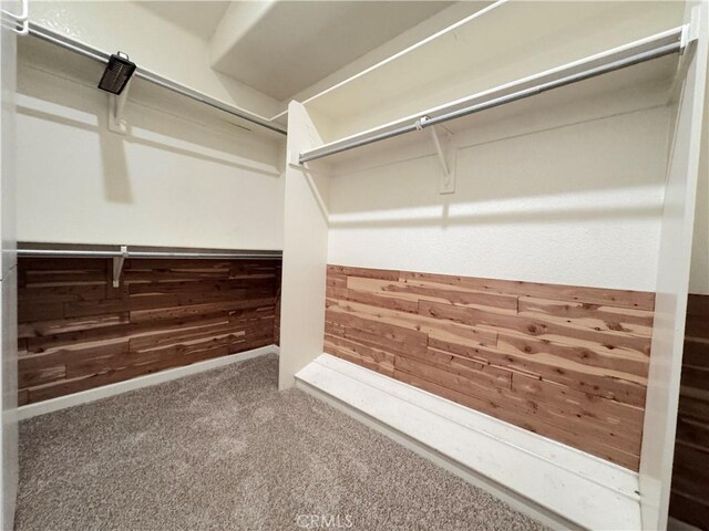 walk in closet featuring carpet flooring