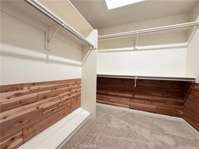 walk in closet with carpet flooring