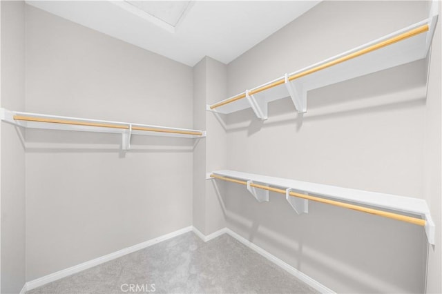 spacious closet featuring carpet
