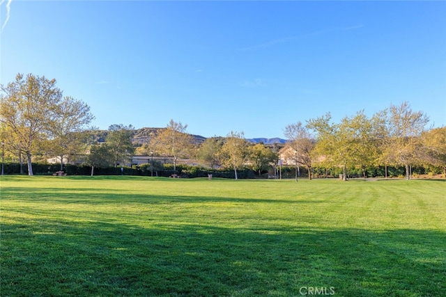 view of home's community with a yard