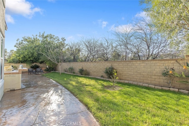 view of yard with a patio and a fenced backyard