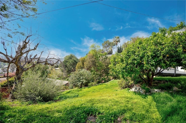 view of yard