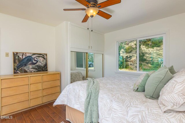 bedroom featuring dark wood-type flooring and a ceiling fan