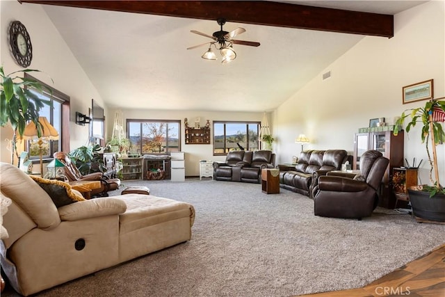 340 Fritch Rd, Lakeport, CA 95453 - photo 12