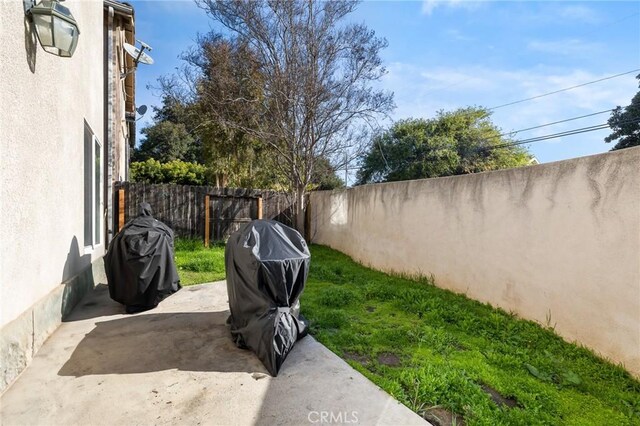view of yard with a patio and a fenced backyard