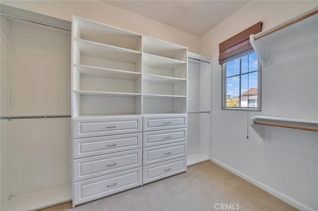 37 Fanpalm, Irvine, CA 92620 - spacious closet with light carpet