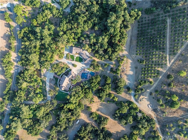 drone / aerial view