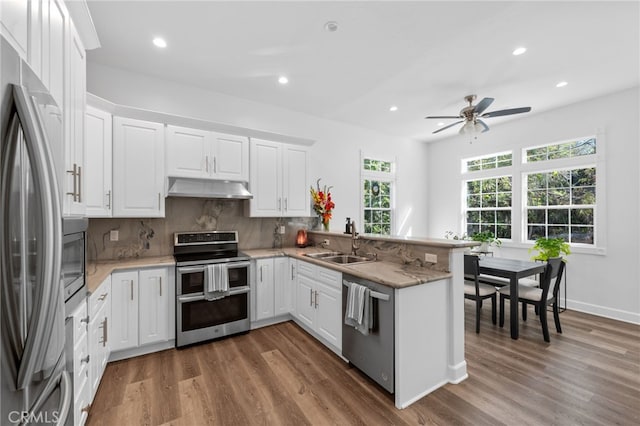 kitchen featuring wood finished floors, under cabinet range hood, a sink, and appliances with stainless steel finishes