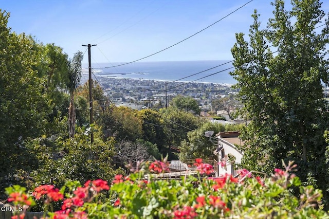 445 Lupine Way, Ventura, CA 93001 - photo 23