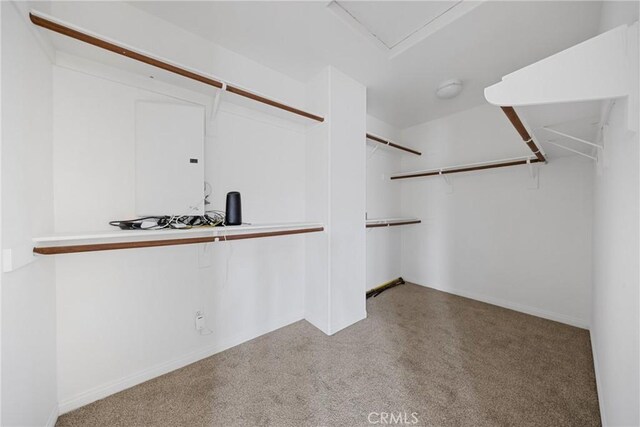 34135 Crenshaw St, Beaumont, CA 92223 - view of spacious closet