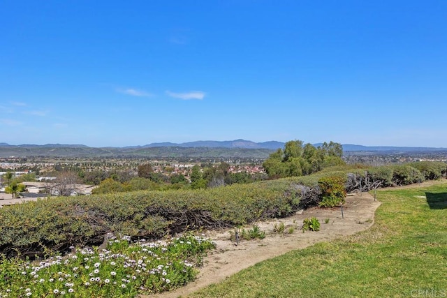 4428 Skimmer Way, Oceanside, CA 92057 - view of mountain background