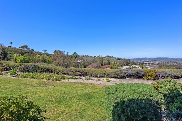 4428 Skimmer Way, Oceanside, CA 92057 - view of grassy yard