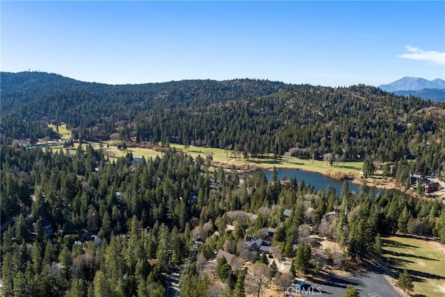 743 Rhine Rd, Lake Arrowhead, CA 92352 - bird's eye view with a view of trees and a water and mountain view