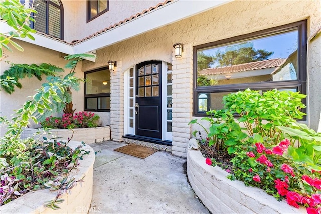 doorway to property with stucco siding