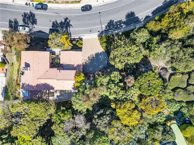 drone / aerial view