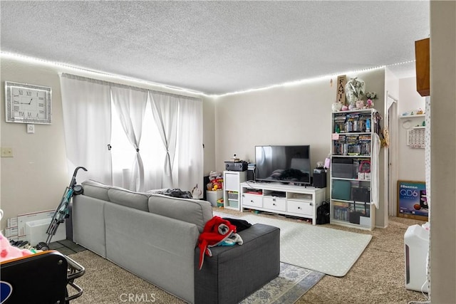 living room with carpet floors and a textured ceiling