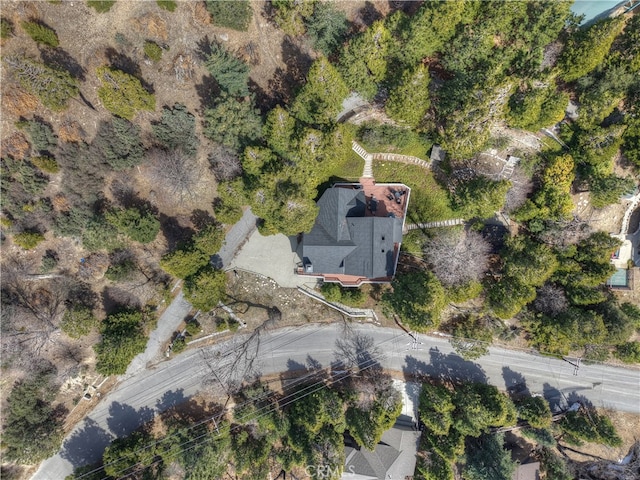 bird's eye view