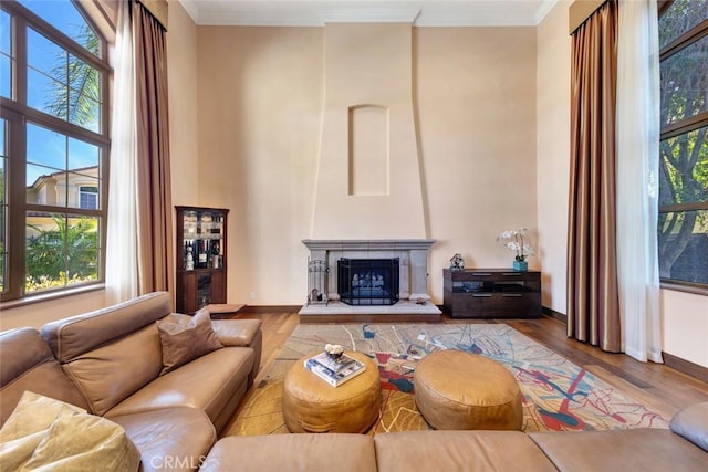 24925 Vista Verenda, Woodland Hills, CA 91367 - living room with crown molding, wood finished floors, baseboards, a fireplace with raised hearth, and a high ceiling
